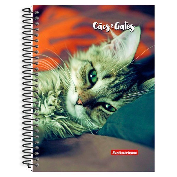 CADERNO ESPIRAL UNIVERSITÁRIO CÃES E GATOS 80 FOLHAS - PANAMERICANA Lojas Encopel